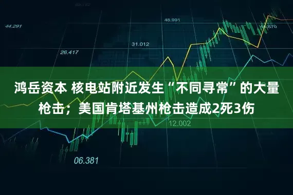 鸿岳资本 核电站附近发生“不同寻常”的大量枪击；美国肯塔基州枪击造成2死3伤