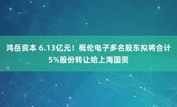 鸿岳资本 6.13亿元！概伦电子多名股东拟将合计5%股份转让给上海国资