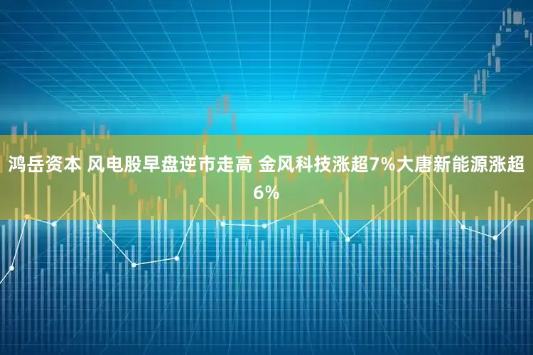 鸿岳资本 风电股早盘逆市走高 金风科技涨超7%大唐新能源涨超6%
